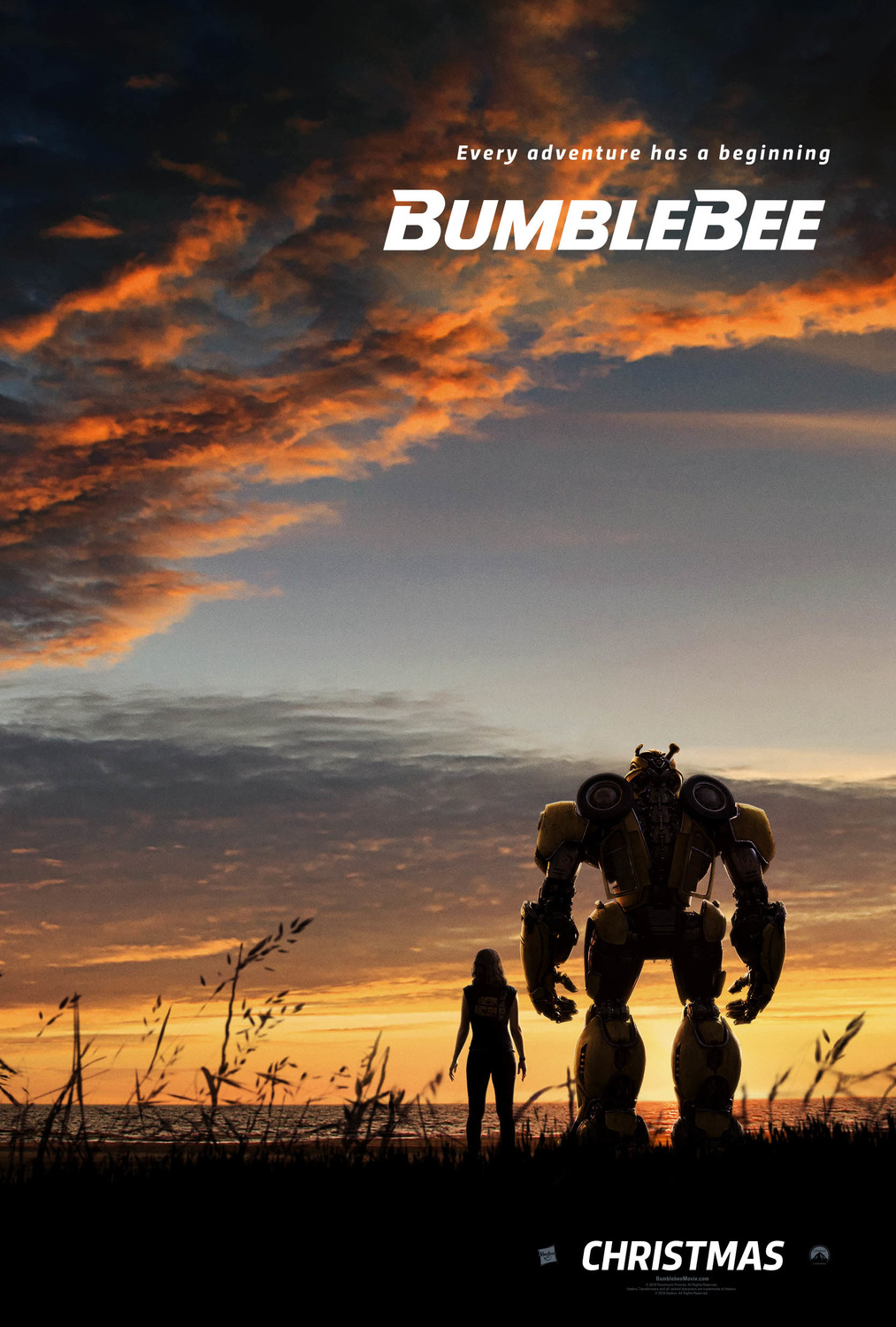 szmk_bumblebee_urdongo_2.jpg