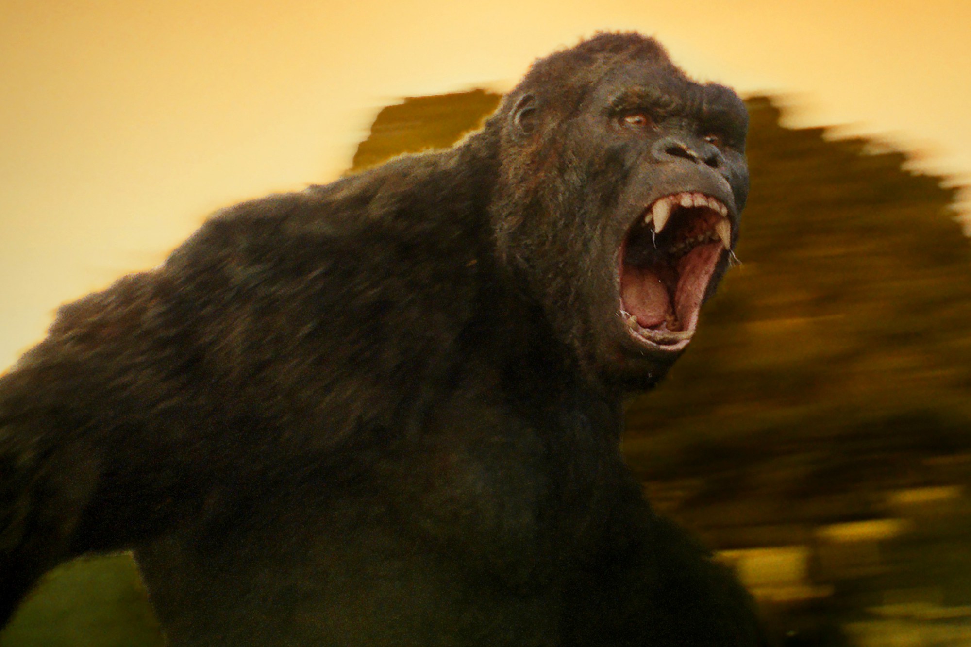 szmk_kong_banner.jpg