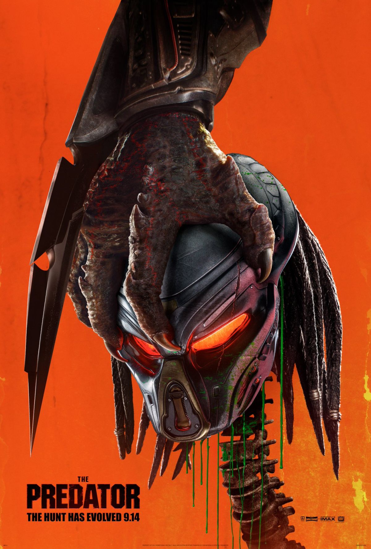 szmk_the_predator_ragadozo_2.jpg