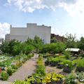 Urban gardening, agro-urbanism...