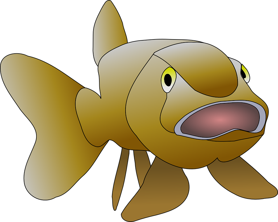 fish-48338_960_720.png