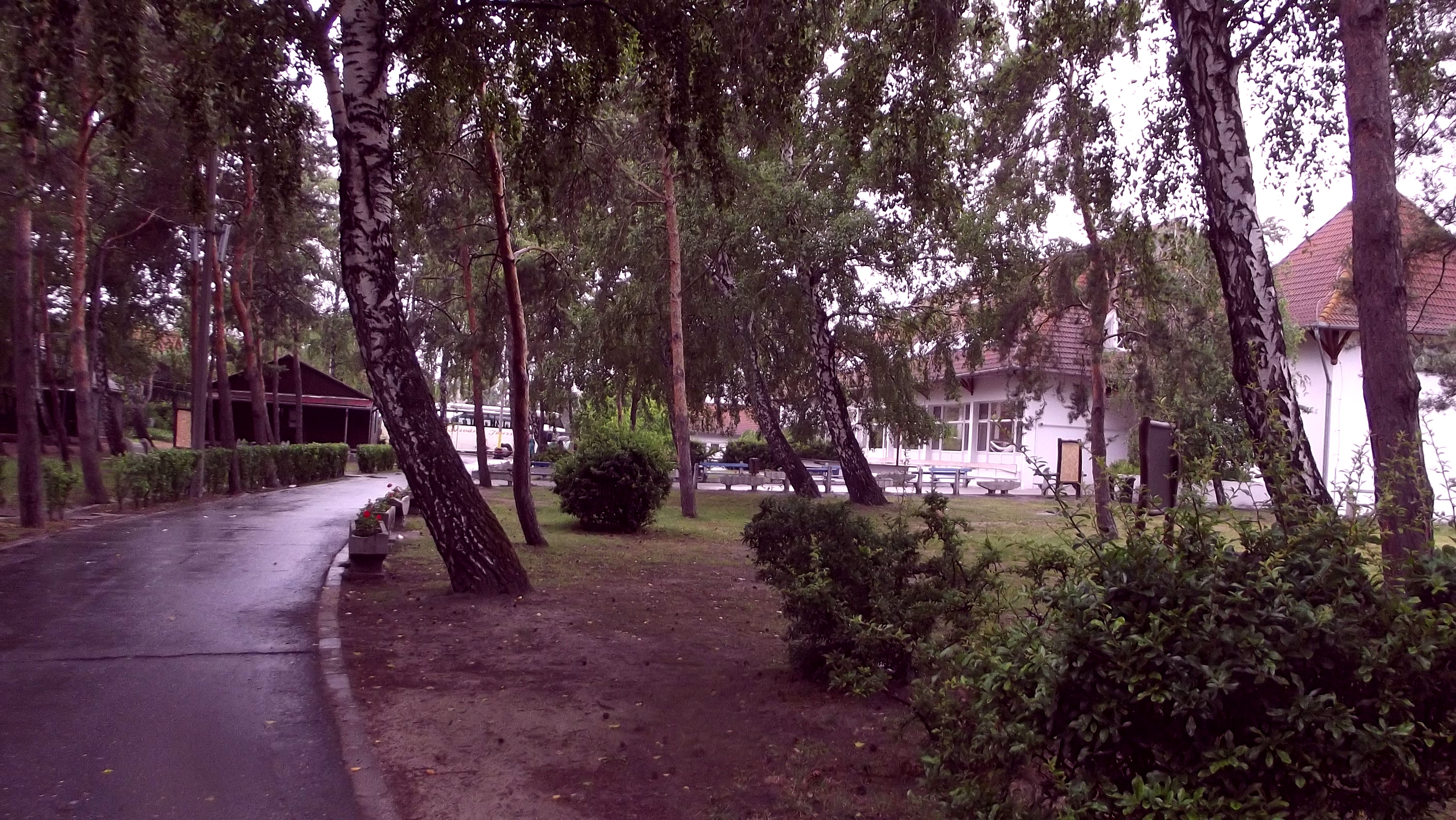 DSCF4726.jpg