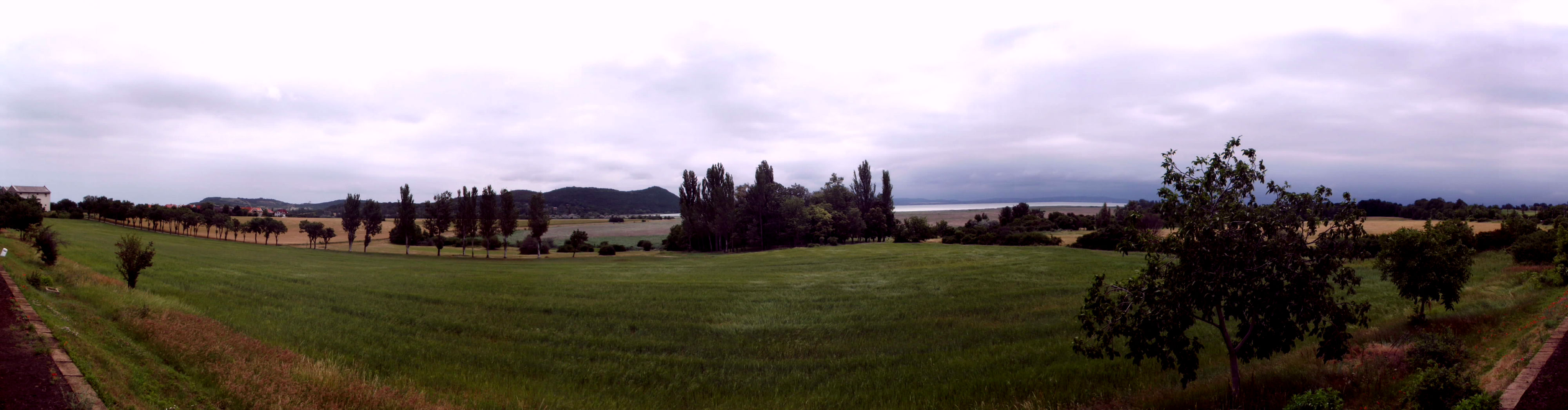 DSCF4862.jpg