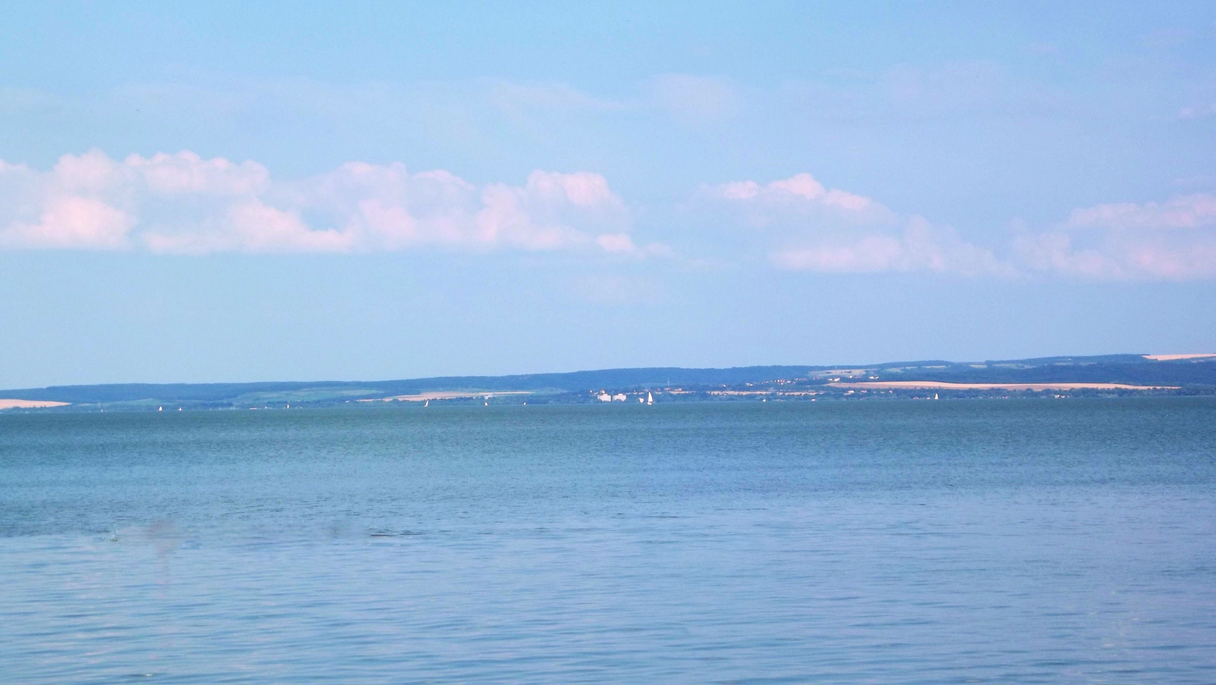 DSCF5124.jpg
