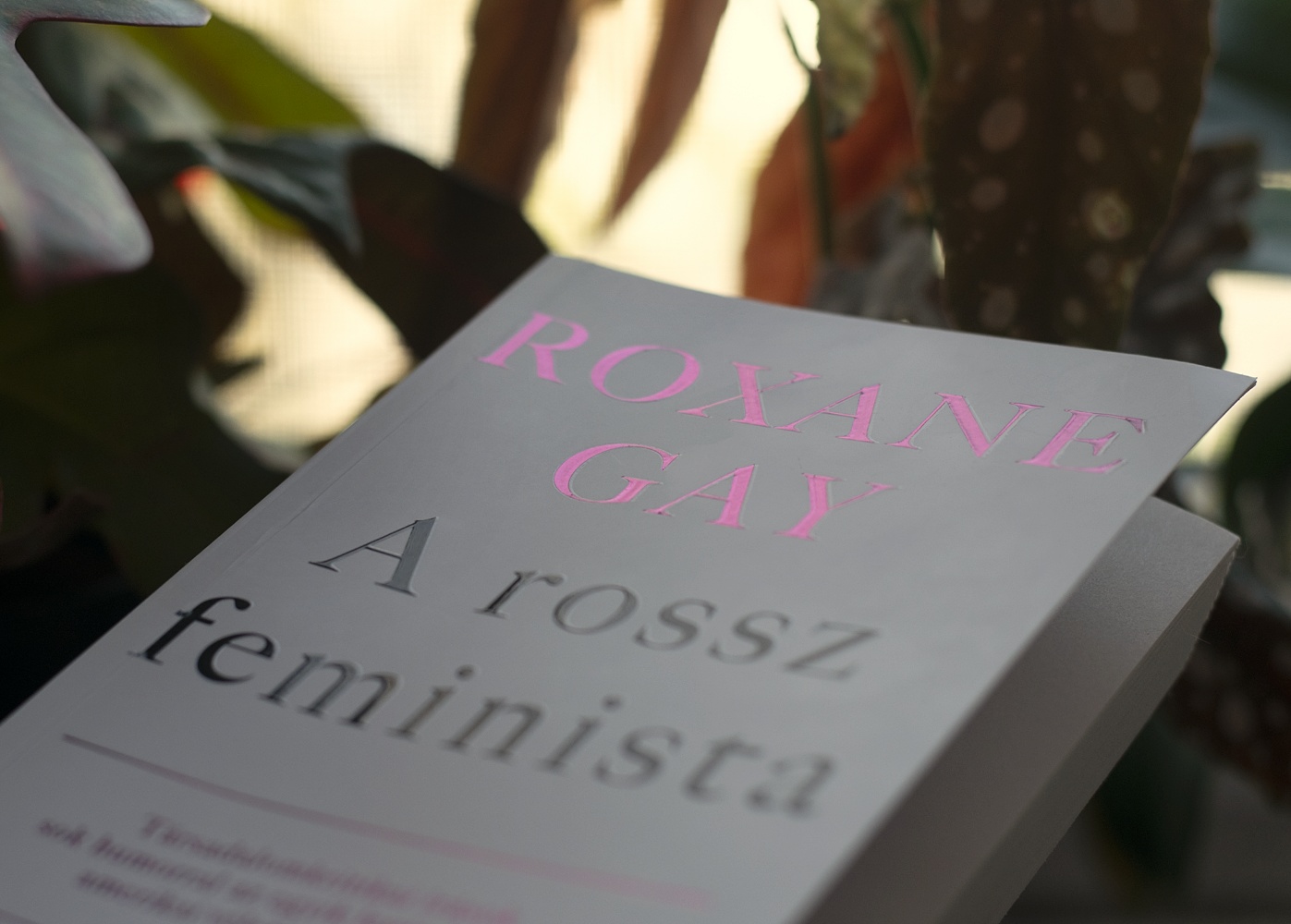 a_rossz_feminista.jpeg