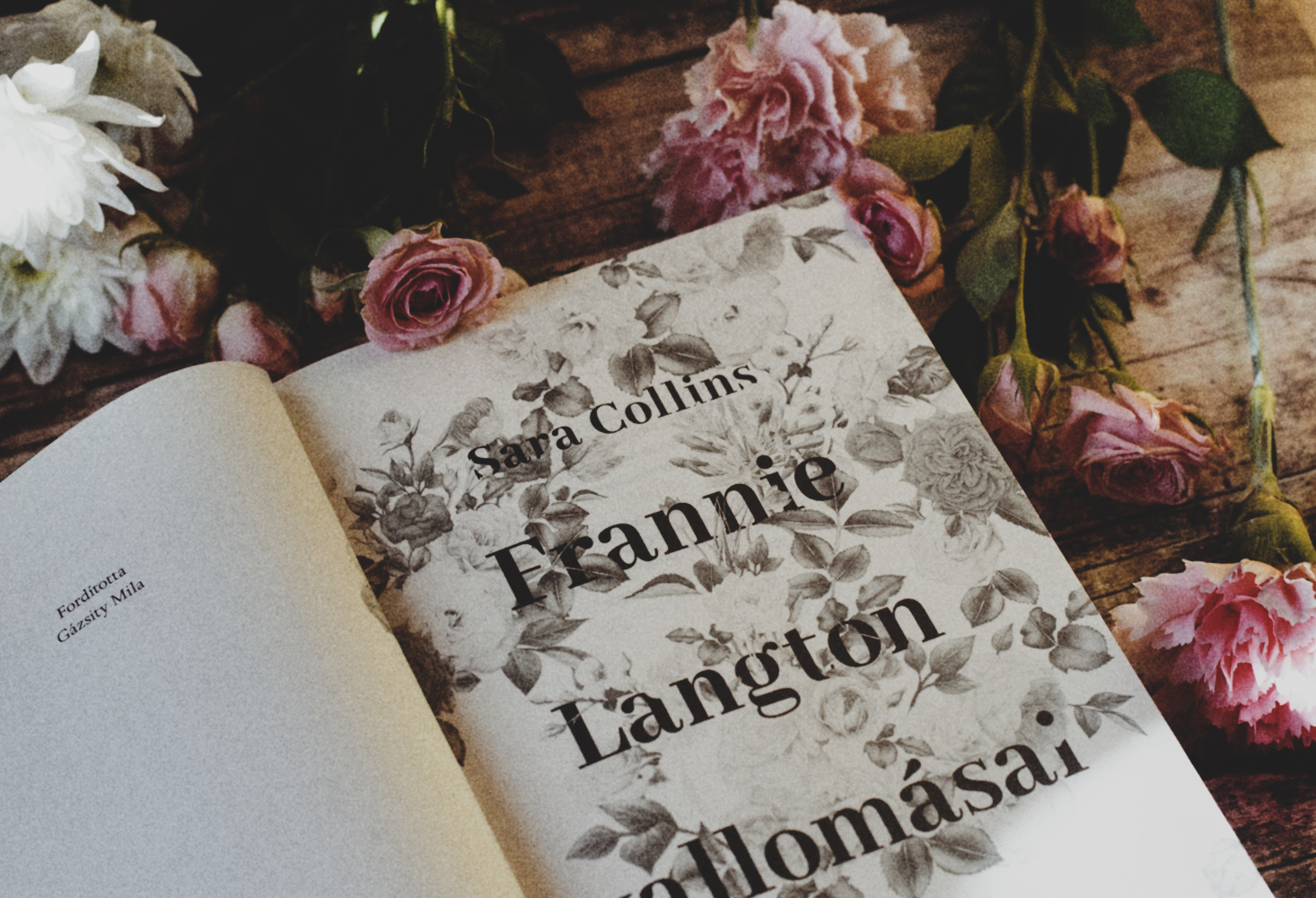 frannie_langton_vallomasai.jpg
