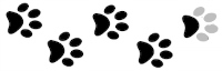 o_ttappancs-2_9.jpg