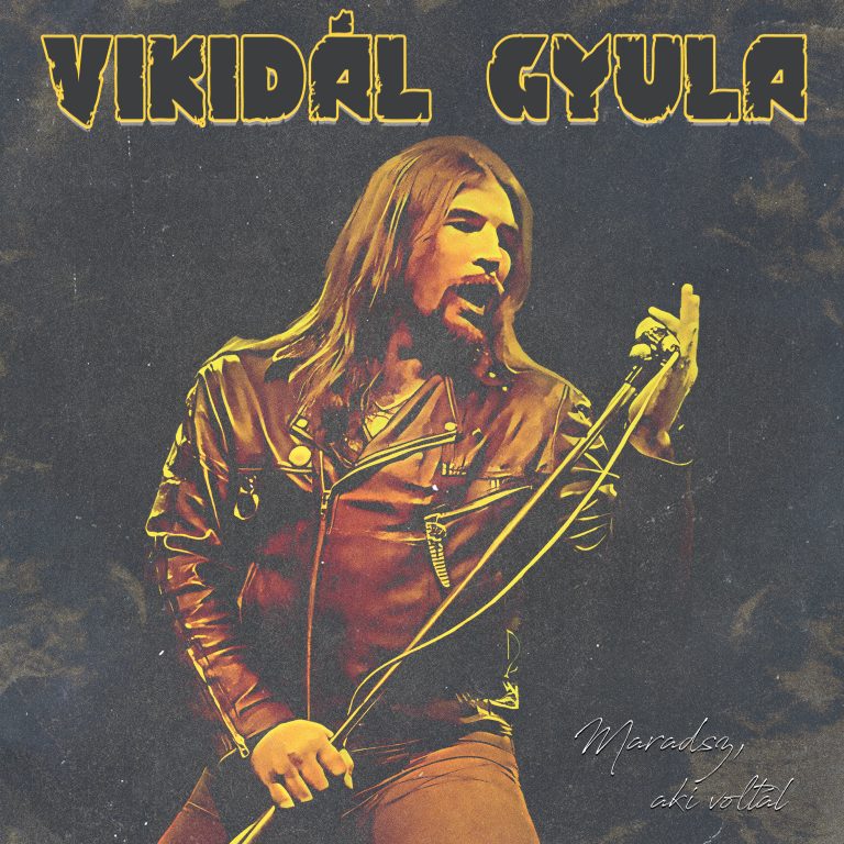 vikidal_front-768x768.jpg