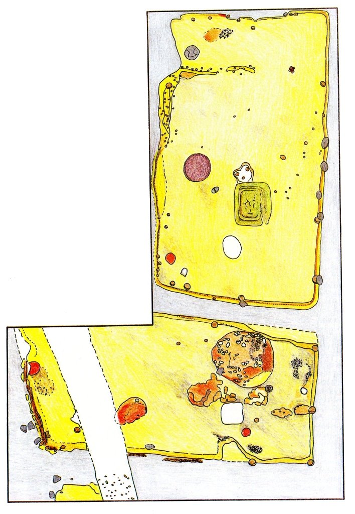 5. kép: Jászdózsa-Kápolnahalom, 6. szint ásatási rajza