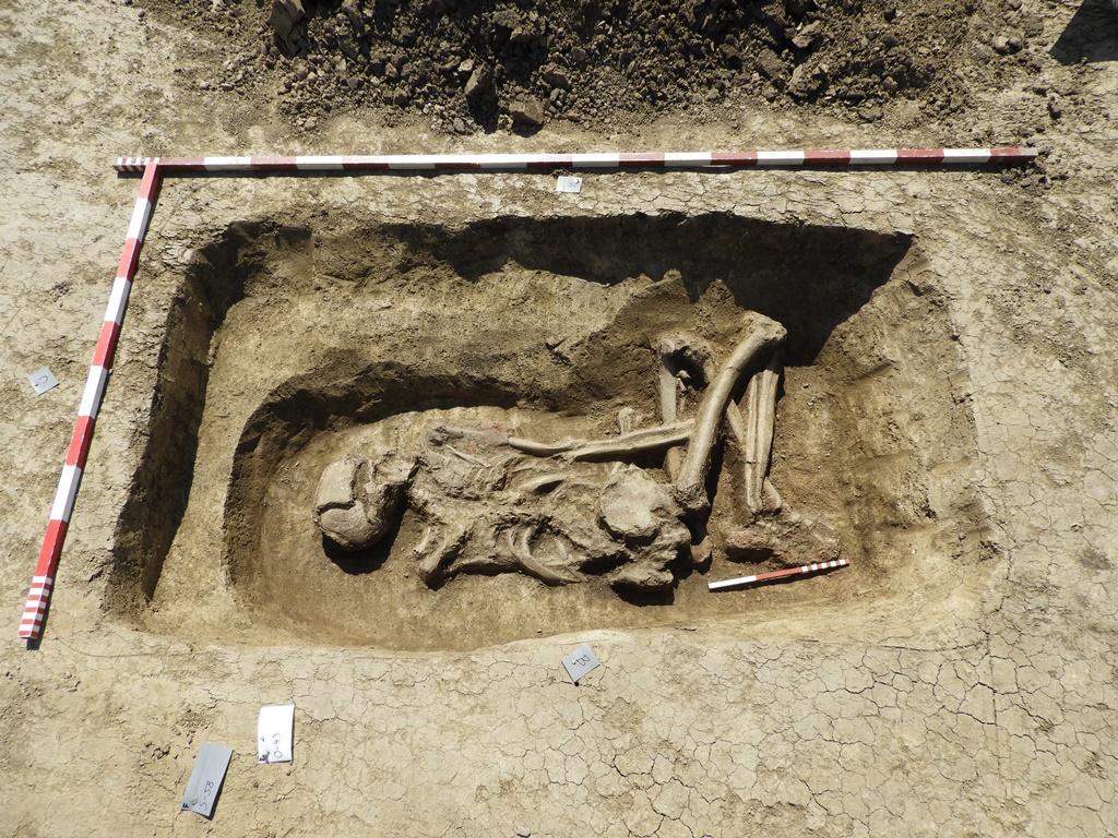 6. kép: A kibontott sír ásatási fotója, Tiszakürt-Földes-lapos, Pincegazdaság (Fotó: Leitmann Zsolt)