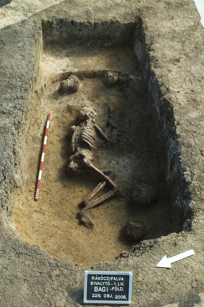 7. kép: A kiállításban bemutatott 4. számú női sír ásatási fotója (Fotó: Kozma Károly)