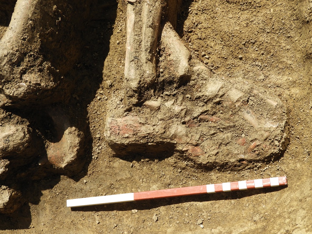 7. kép: A csontváz vörös színű okkerfestékkel színezett lábfeje, Tiszakürt-Földes-lapos, Pincegazdaság (Fotó: Leitmann Zsolt)