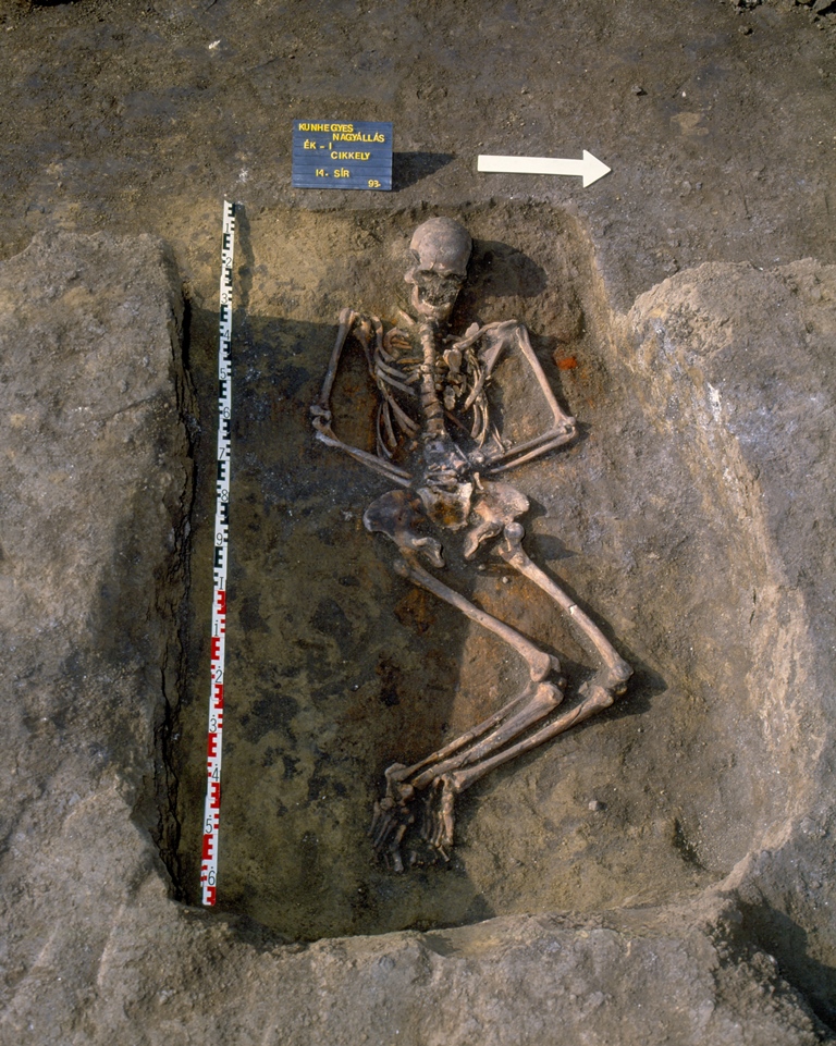 12. kép: A kiállításban bemutatott 5. számú férfi sír ásatási fotója (Fotó: Kozma Károly)