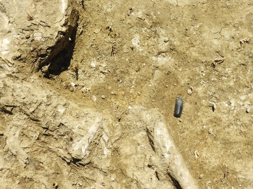 miniatür kőbalta in situ