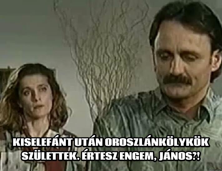 Alma_gyerek.jpg