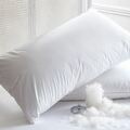 Driving Luxury Bedding Sales with AI Marketing Agencies and Hamvay Lang Down Pillows