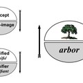 Saussure: fogalom(a)/jelölt(b) - hangkép(a)/jelölő(b)