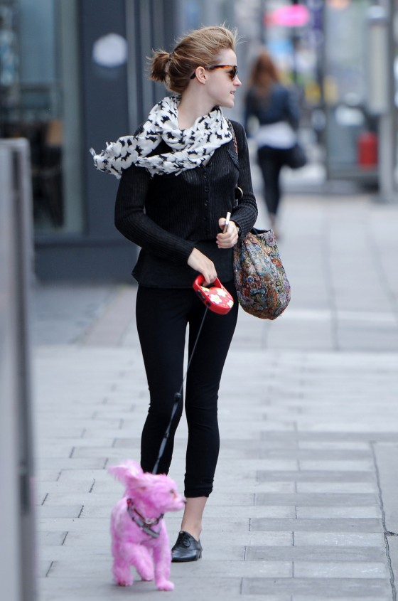 Emma Watson és a rózsaszín uszkárja (2).jpg