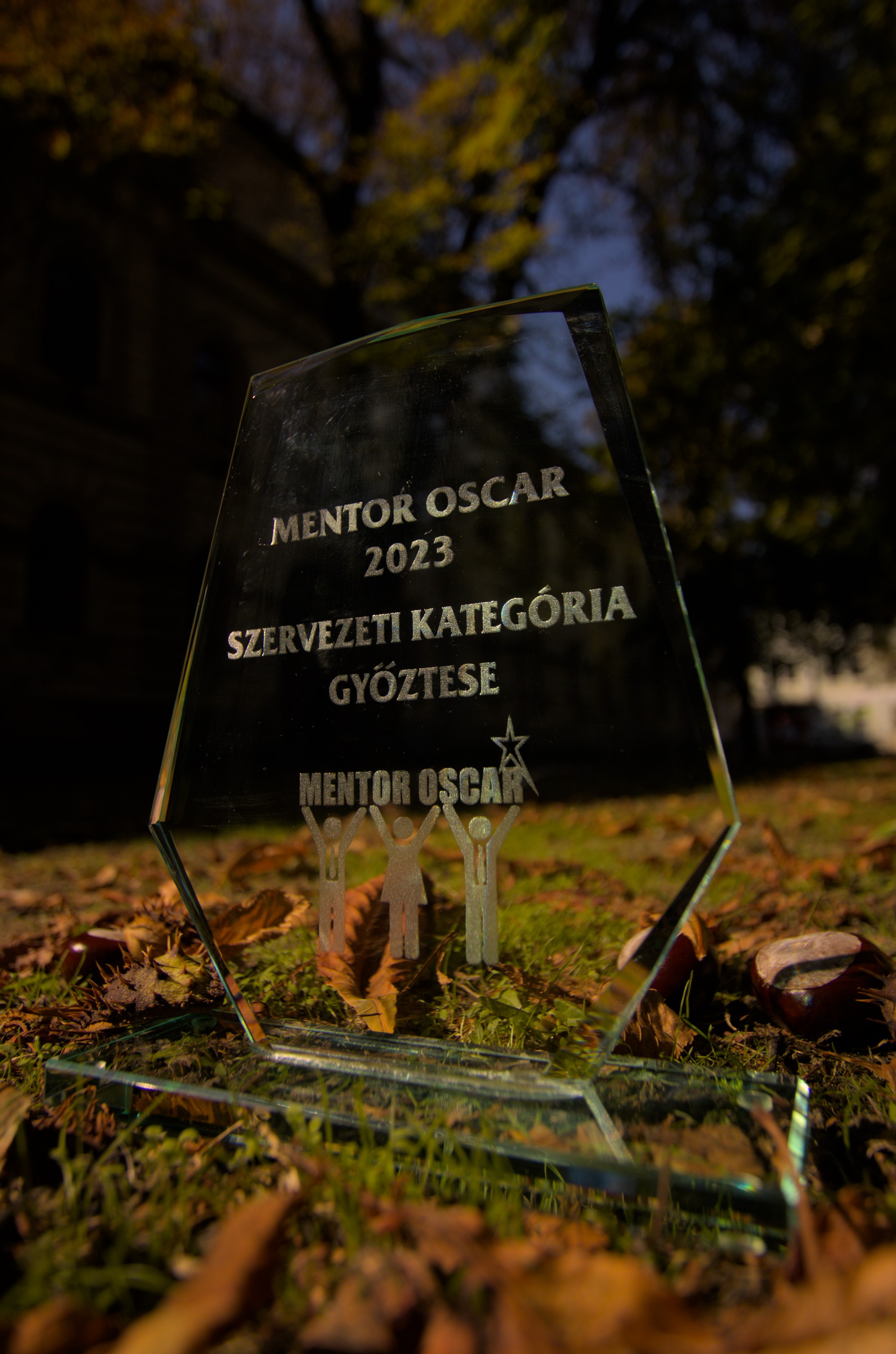 Oscar-díjas az SZTE Alma Mater Alumni mentorprogramja