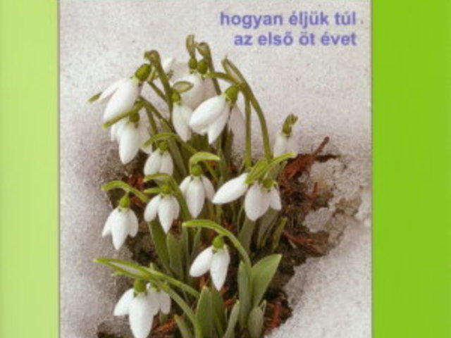 Egy könyv a gyógyulás útjáról - hogyan éljük túl az első öt évet?