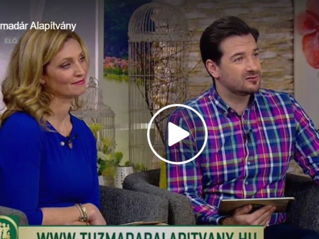 Rohánszky Magda onkopszichológus a Tűzmadár Alapítvány vezetője