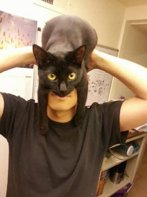 catman.JPG