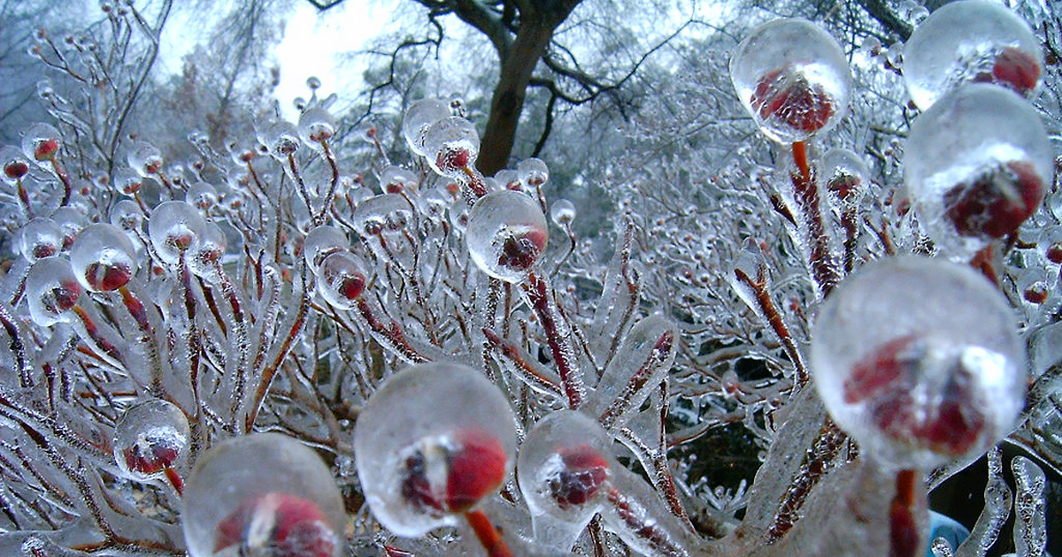 natural-winter-ice-snow-art-fb.jpg