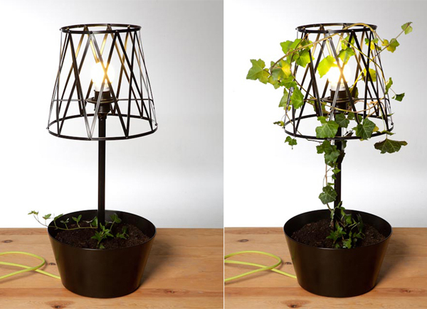 5-plant-friendly-lamp-designs-2.jpg