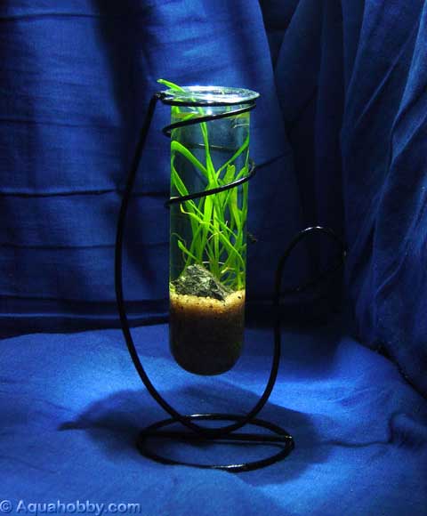 603_Palmtop_Aquarium_4a.jpg