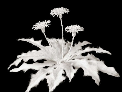 Bone-Flowers-Honebana.jpg