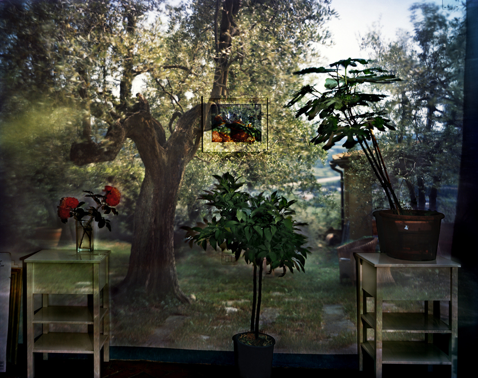 CO-Garden-with-Olive-Tree_09_slide.jpg