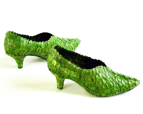 Green-Shoes-Plant.jpg