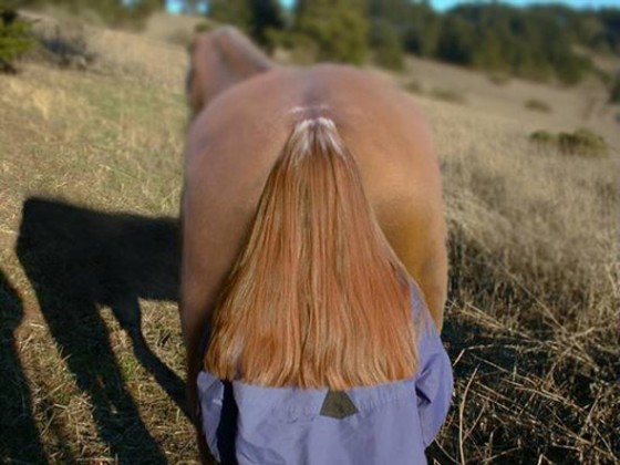 Optical-Illusion-Lady-Hair-Horsetail-e1289895979307.jpg