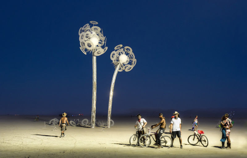 The Lily White Flowers of Burning Man-L.jpg