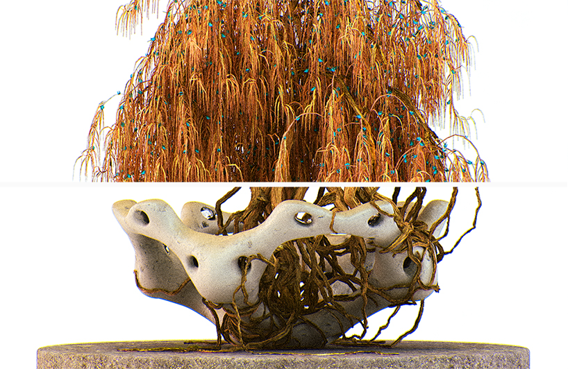 alien-bonsai-chaotic-atmospheres-designboom-011.jpg