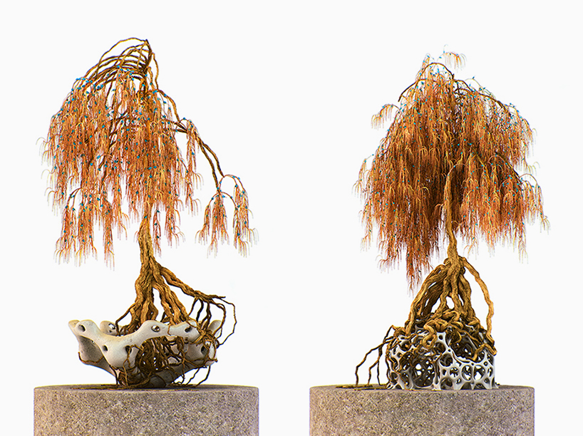 alien-bonsai-chaotic-atmospheres-designboom-09.jpg