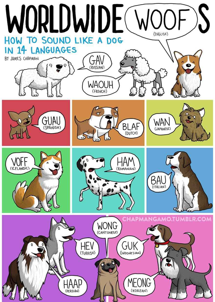 animal-sounds-in-different-languages-james-chapman-4_1.jpg