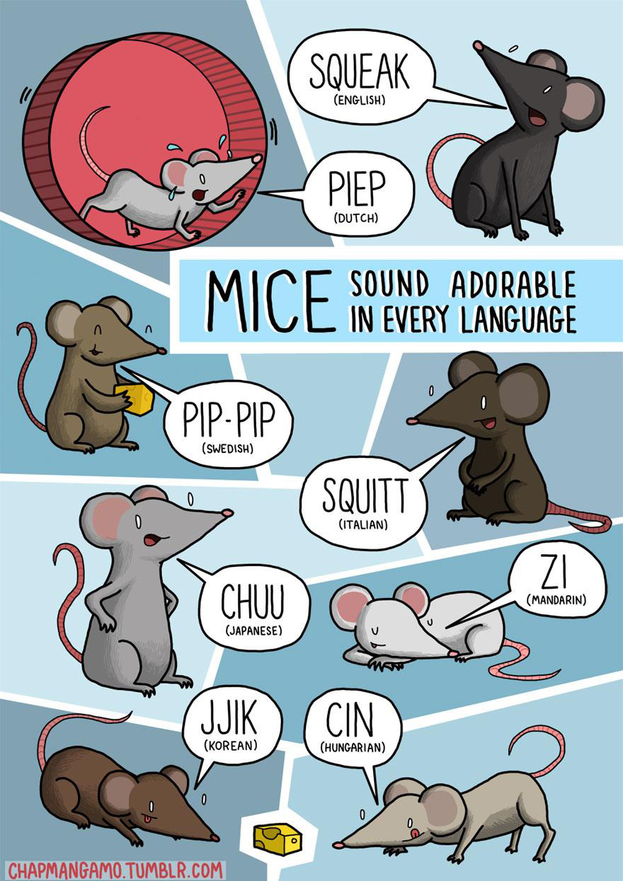 animal-sounds-in-different-languages-james-chapman-6_1.jpg