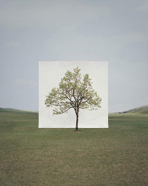 canvas-backdrops-behind-trees-myoung-ho-lee-10.jpg