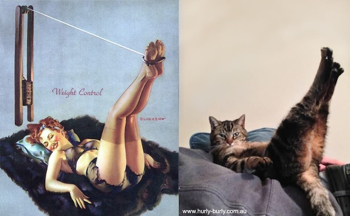 catsthatlooklikepinupgirls05.jpg