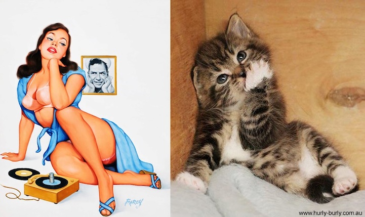 catsthatlooklikepinupgirls06.jpg