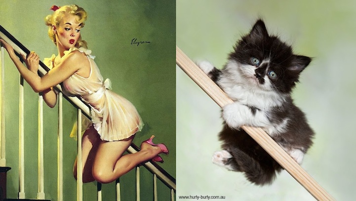 catsthatlooklikepinupgirls07.jpg