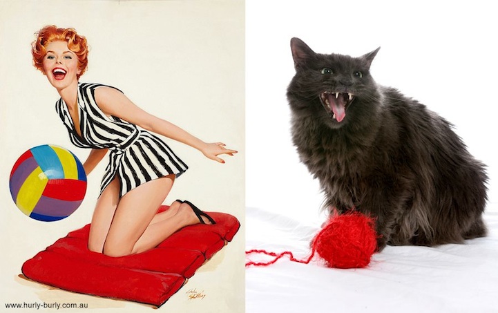 catsthatlooklikepinupgirls11.jpg