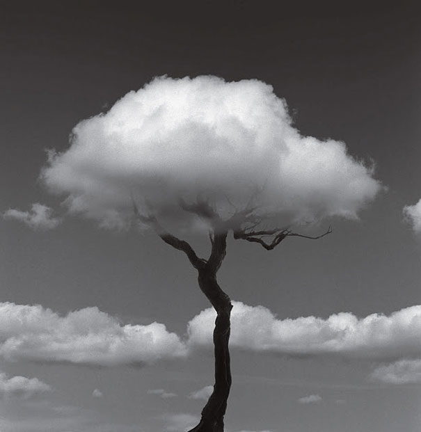 chema-madoz-photography-14.jpg