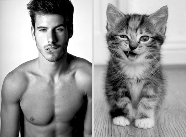 des-hommes-et-des-chatons-men-and-cats-28_1.jpg