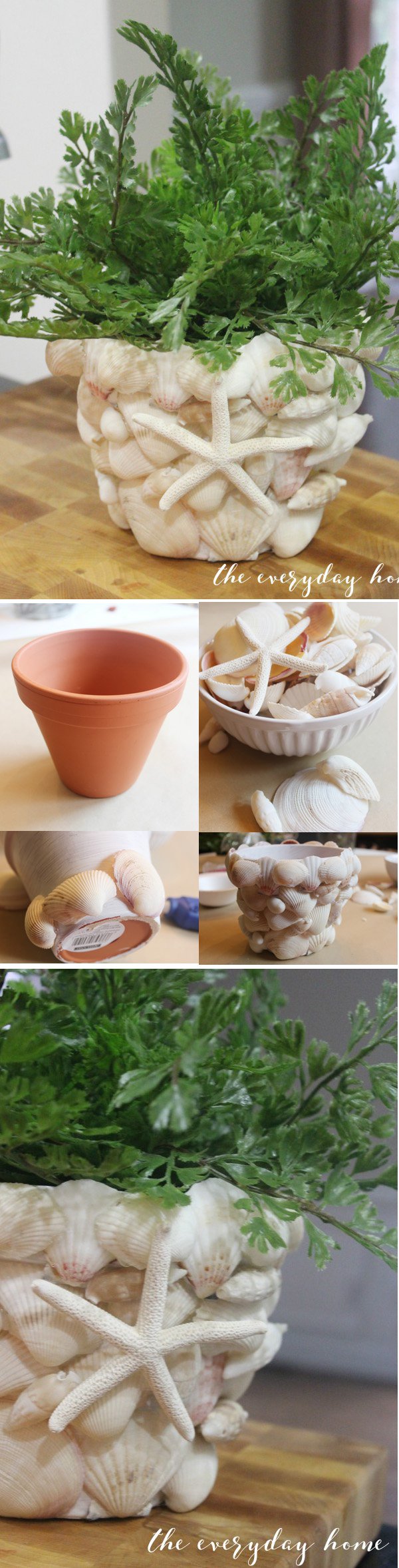 diy-shell-covered-terra-cotta-pot.jpg