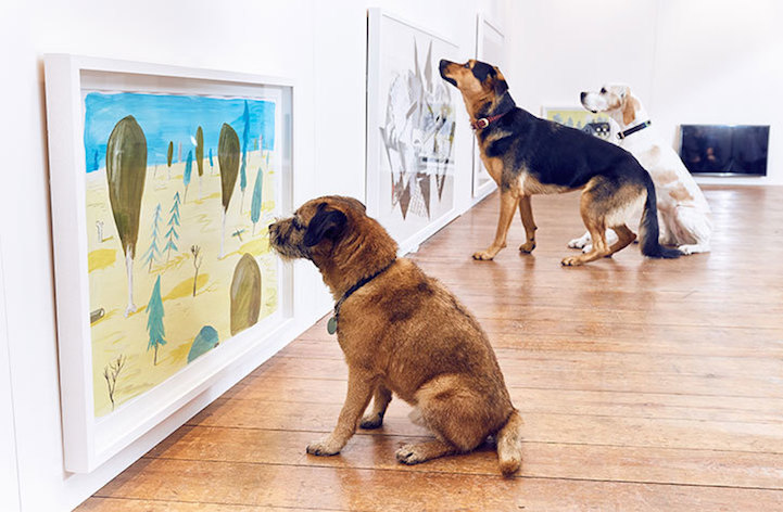 dominicwilcoxartfordogsexhibition11.jpg