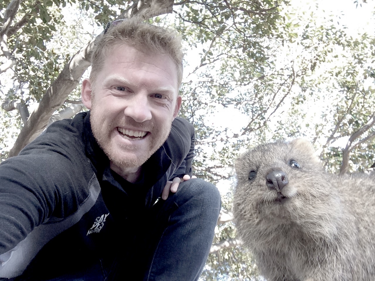extreme_selfie_dave_cornthwaite_quokka_selfie_rottnest_island_western_australia_s.jpg