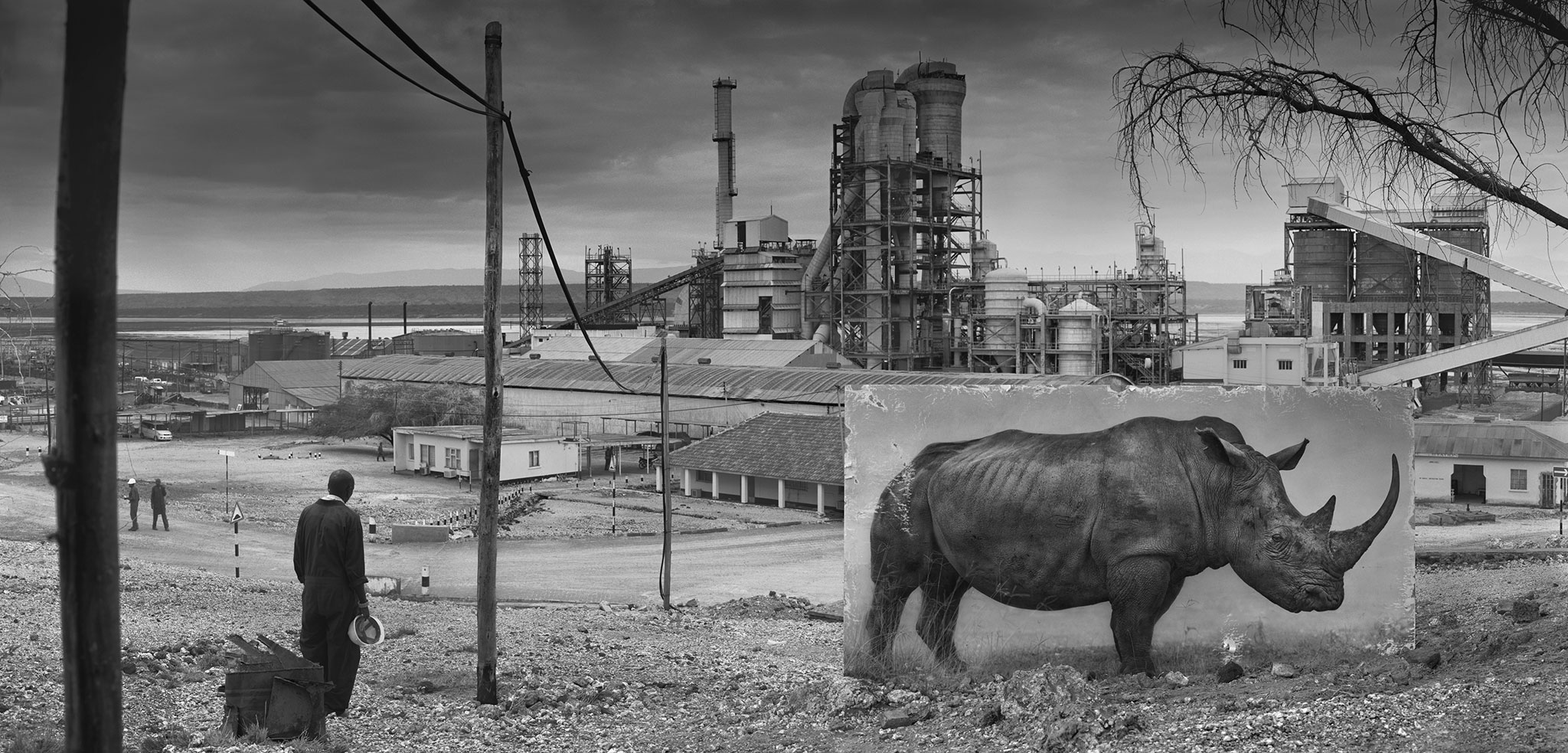 factory-with-rhino-3800px.jpg