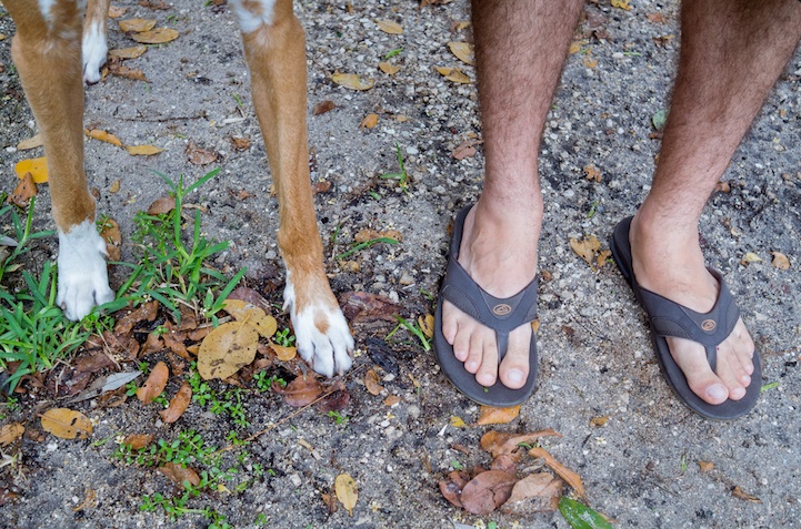 feetsandpaws01.jpg